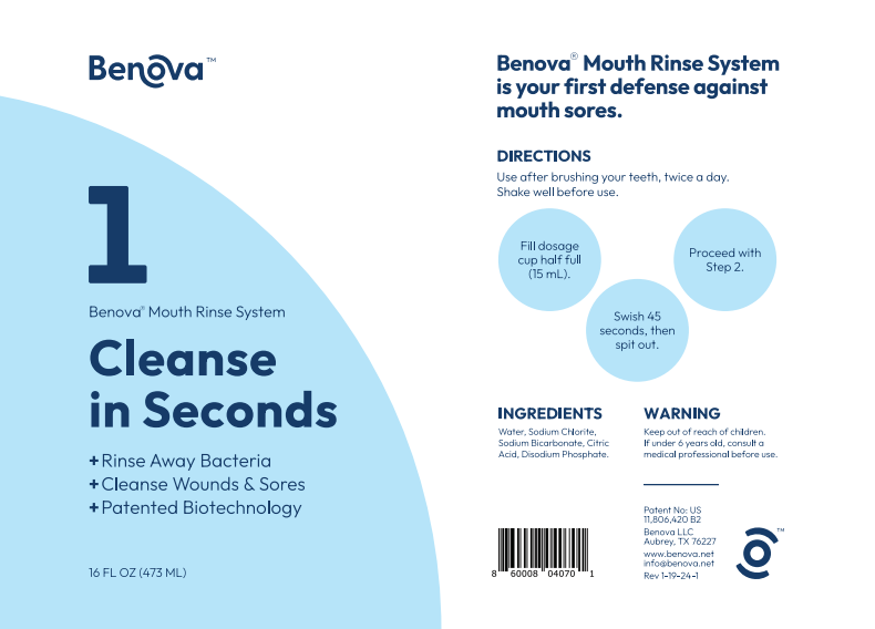 Mouth Rinse System (16 oz)