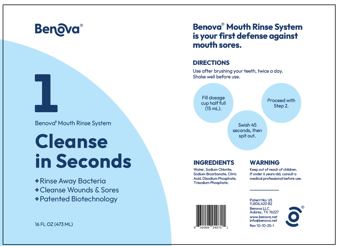 Mouth Rinse System (16 oz)